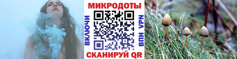 хочу наркоту  mega ссылка  Псилоцибиновые грибы мухоморы  Елец 