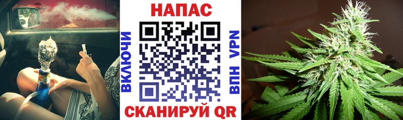 МЕГА ССЫЛКА Елец Канабис сатива